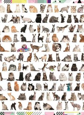 正品包邮trefl欧洲进口成人益智动物拼图10498猫咪合集1000片减压