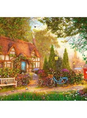 新品包邮 波兰trefl欧洲进口益智拼图玩具10803茅草屋1000片减压