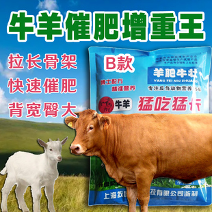 牛羊催肥增重王增肥一号疯长肉膘王促生长拉大骨架小料添加剂兽药