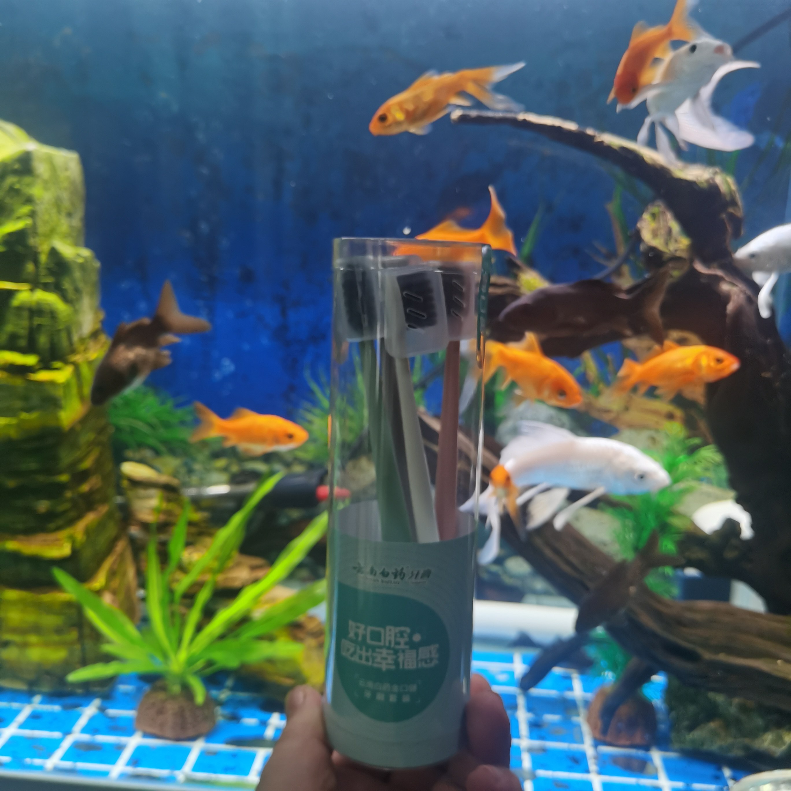 金口健软毛小头牙刷四只装标准头硬毛旅行装家庭囤货云南白药出品