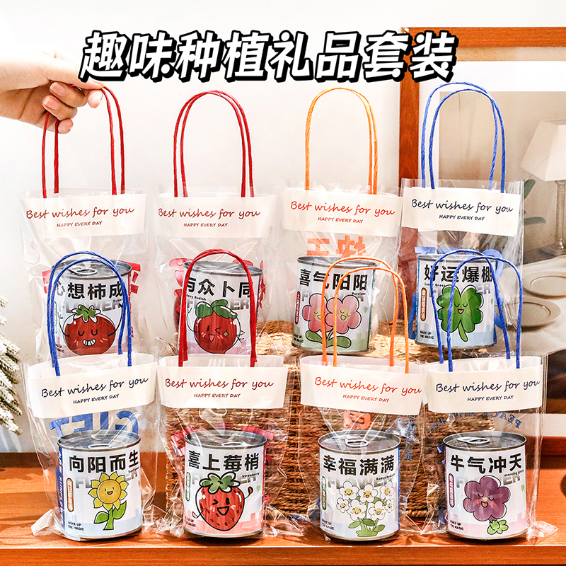 儿童手提种植盆栽盲盒绿植小礼品