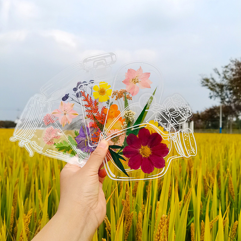 透明书签干花树叶手工制作小瓶子压花diy材料小学生自制植物标本