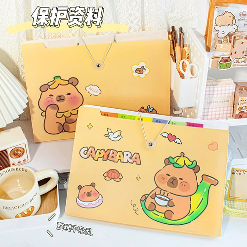 А4 папка много -слойная ученика с прозрачными страницами и милыми тестовыми документами для организации артефактов студенческих школьных книж