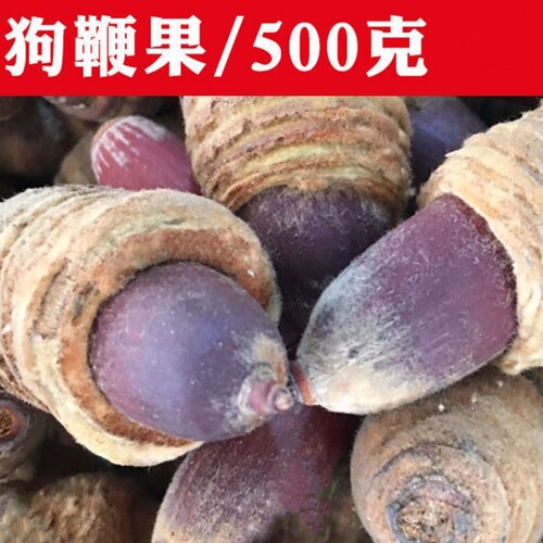 狗鞭果中药材潽禧草堂散装云南