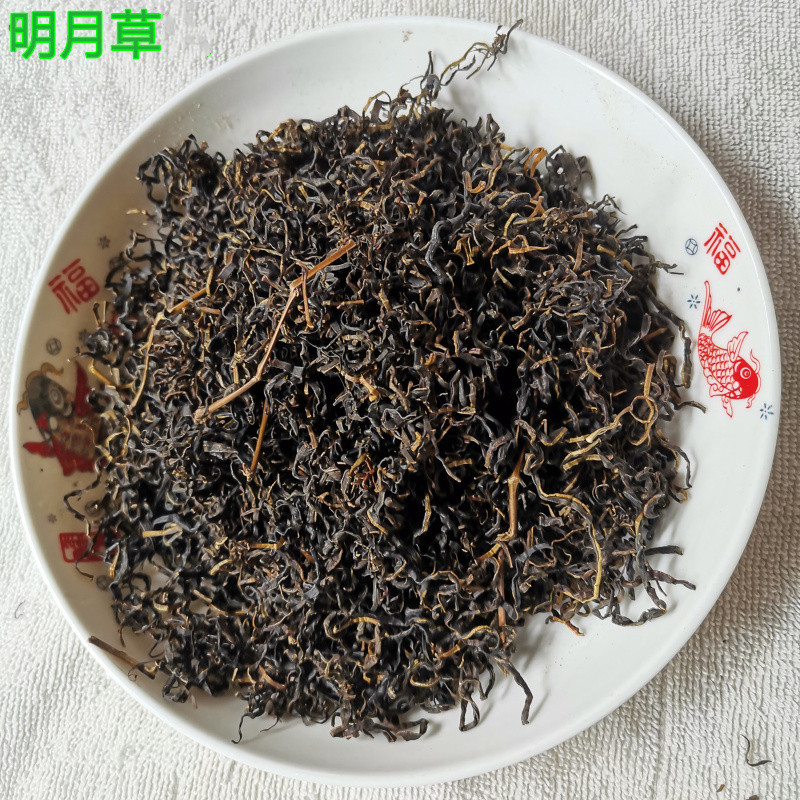 中药材  金鸡毛草  500克  神奇救命草  明月草  碎