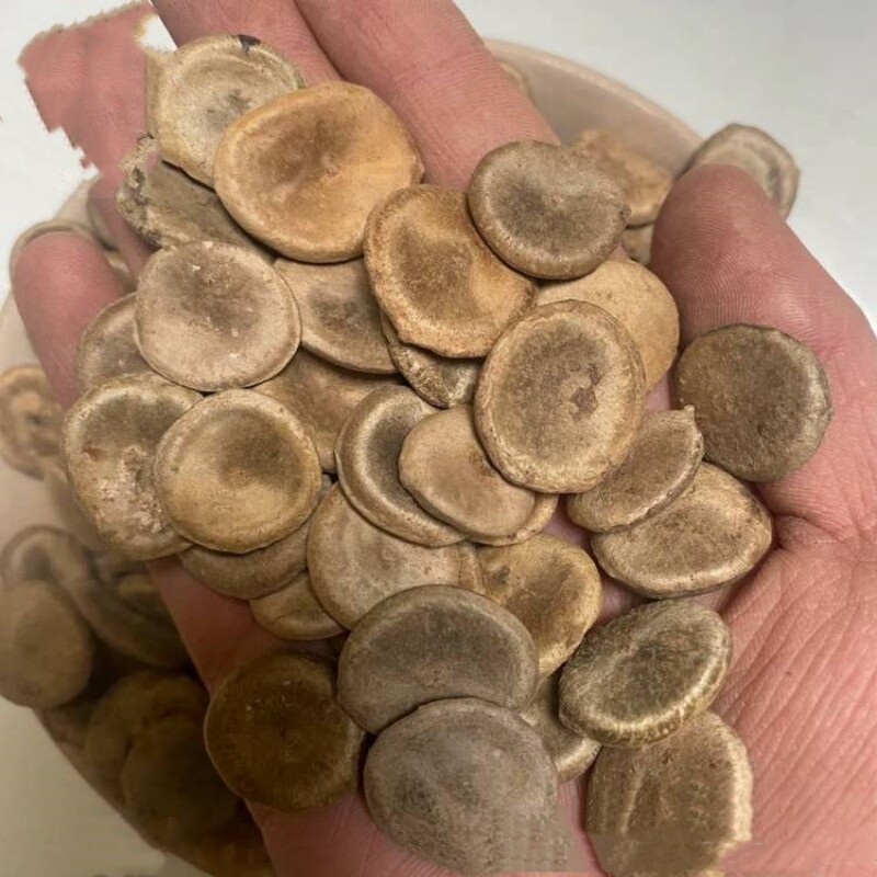 云南中药材500g克大方八种植产品大八方统货偏门冷背货