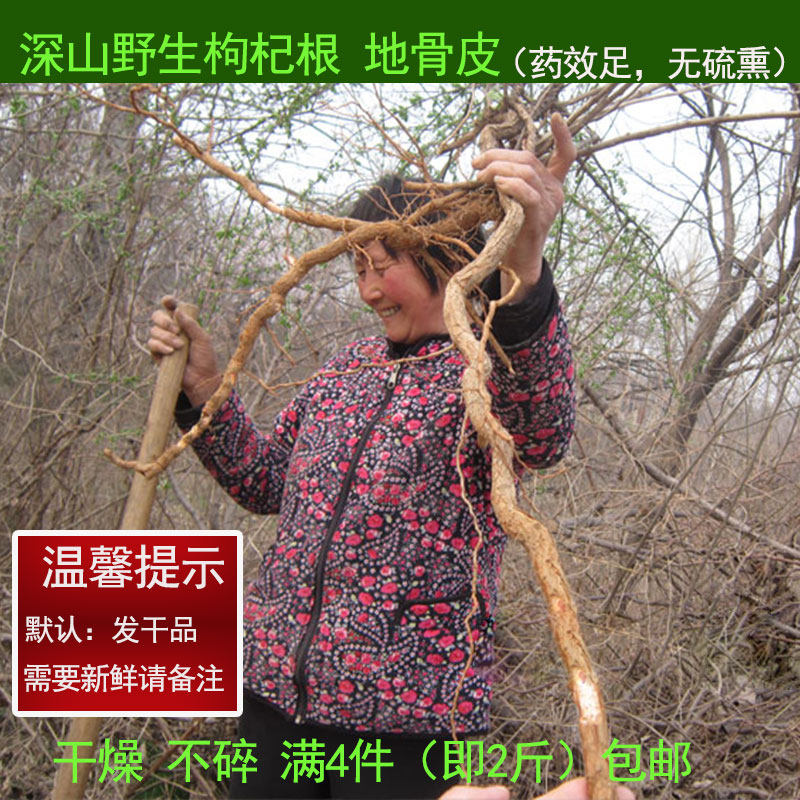 干枸杞根枸杞头4件包邮非地骨皮2026年新鲜晒干枸杞子老根250g