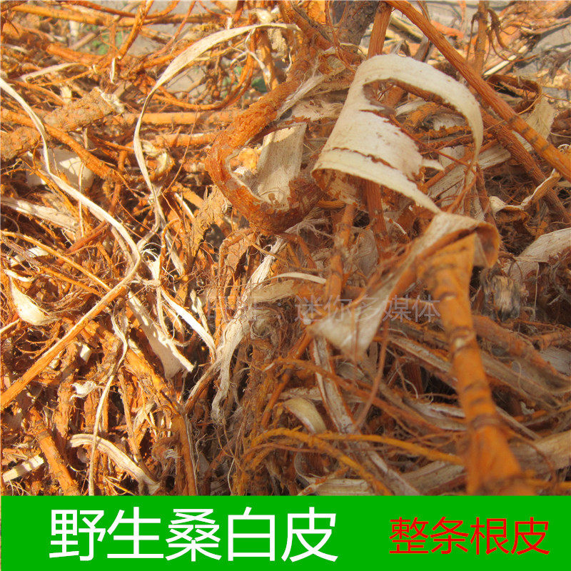 太行山野生桑白皮500g整条桑根皮