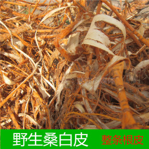太行山野生桑白皮500g整条桑根皮