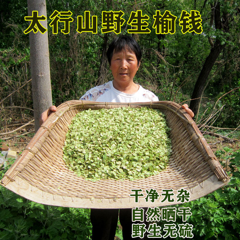 野生榆钱干太行山野菜头茬新鲜晒干食用2026年新货河南榆钱串干净