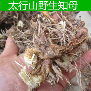太行山野生毛知母整根知母片新鲜