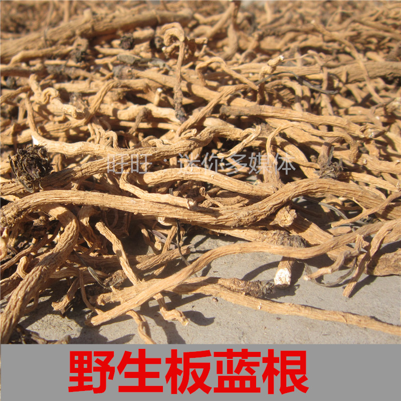 野生板蓝根干整根个泡茶喝500g中药材太行山农家晒干大青根可切段
