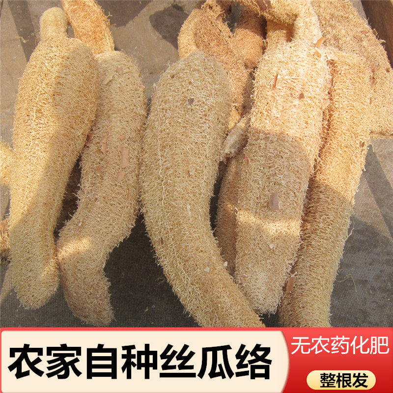 老丝瓜络干纯天然丝瓜瓤整根农家自种新货刷碗食用中药材250g煮水