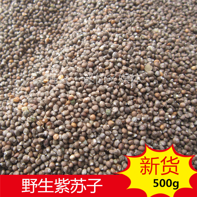 野生紫苏子籽中药材晒干新货河南太行山食用生苏籽500g榨油