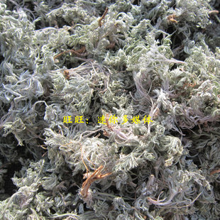 野生绵茵陈干2025年新鲜茵陈中药材500g 棉茵陈草白蒿苗茵陈蒿茶