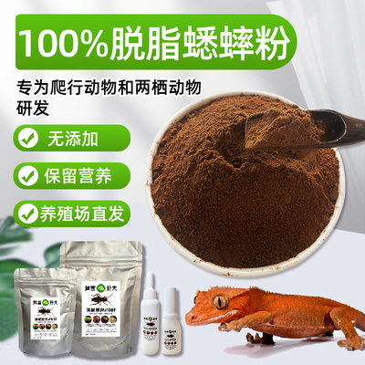 100%纯蟋蟀粉大任富城