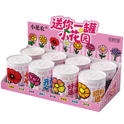 小花农罐头花易拉罐种植儿童节礼物种植小盆栽桌面迷你植物种子盒