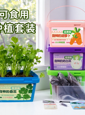 幼儿园儿童种植小盆栽学生观察植物蔬菜香菜生菜籽白菜种子小花农