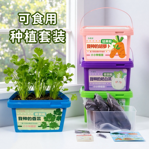 包发芽可食用蔬菜种子种植套装