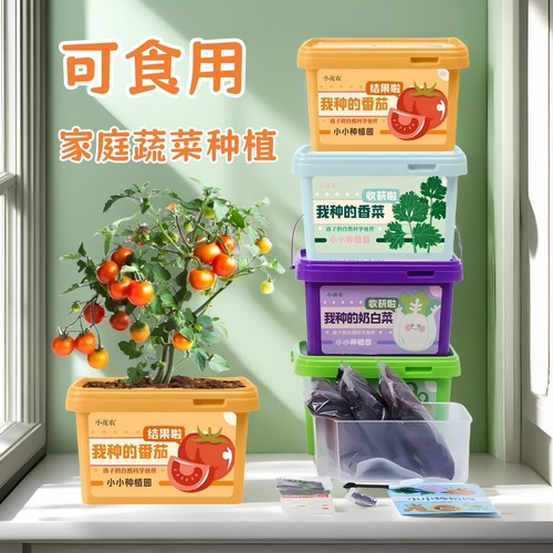 家庭可食用蔬菜种子儿童种植小盆栽植物番茄香菜生菜黄瓜白菜萝卜