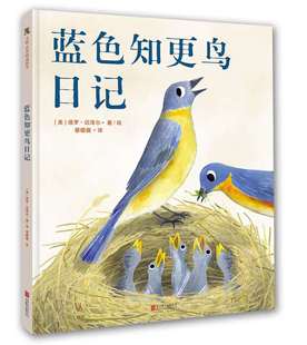 硬壳一年级小学生书单少年儿童文学 非注音版 版 9周岁宝宝科普书籍童话故事书彩图精装 精选图画书绘本1 精装 蓝色知更鸟日记