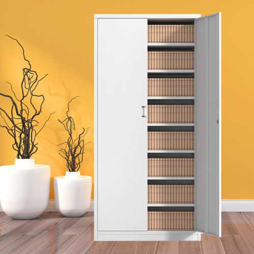 加厚钢制文件柜铁皮柜包邮 多层板储物资料2门对开财务档案凭证柜