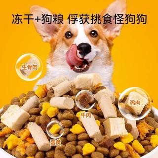 比熊狗粮专用10斤装幼犬去泪痕白色美毛成犬小型犬天然全价冻干粮