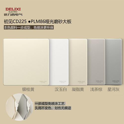 德力西CD225初见磨砂白开关插座