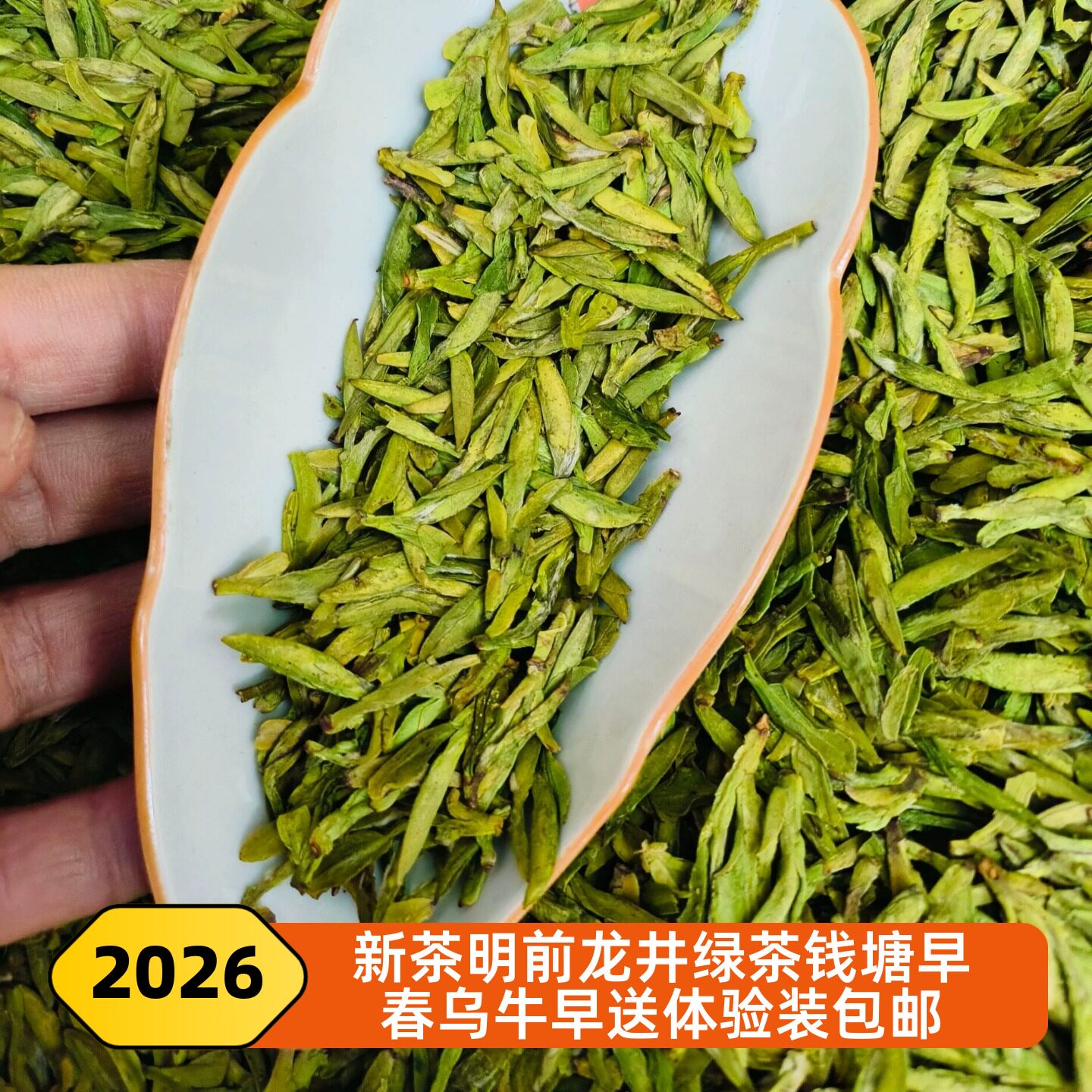 杭州萧山钱塘绿茶2026新茶明前龙井鲜香嫩芽送长辈龙井绿茶非西湖