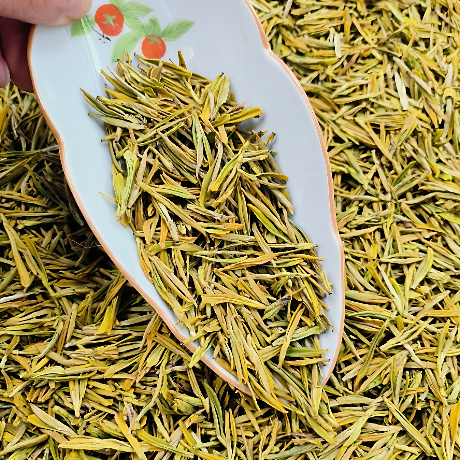 2026安吉白茶新茶黄金芽绿茶高山茶散装明前头采黄芽春茶50g起包