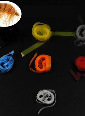 弹性若虫皮 超薄 透明 毛钩背皮 Nymph scud back 飞蝇绑制材料