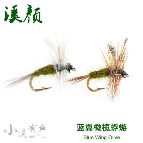 BWO16#18#干式浮水飞蝇钩飞钓鳟鱼饵路亚马口白条溪哥飞蝇钩