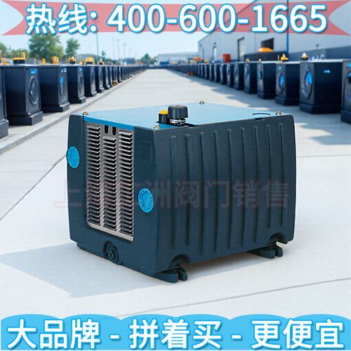 里其乐真空泵公司即插即用液环真空泵L-BL2 里其乐真空泵维修
