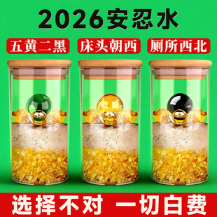 床头朝西解决摆件2026真安忍水瓶子厕所西北角五黄二黑安仁水瓶