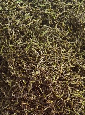 安吉白茶口粮茶手工白茶大山坞梁盛白茶雨前茶2026新茶500g
