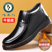 男士 冬季 加绒保暖棉鞋 啄木鸟棉皮鞋 真皮牛筋底中高帮中老年爸爸鞋