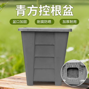 蓝莓果树专用大盆加厚圆形盆花卉绿植蔬果呼吸种植盆加厚耐用透气