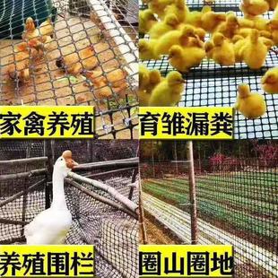 加厚塑网围栏鸭养殖网防护漏网鸡鹅养胶殖育1雏粪网格拦鸡圈地隔