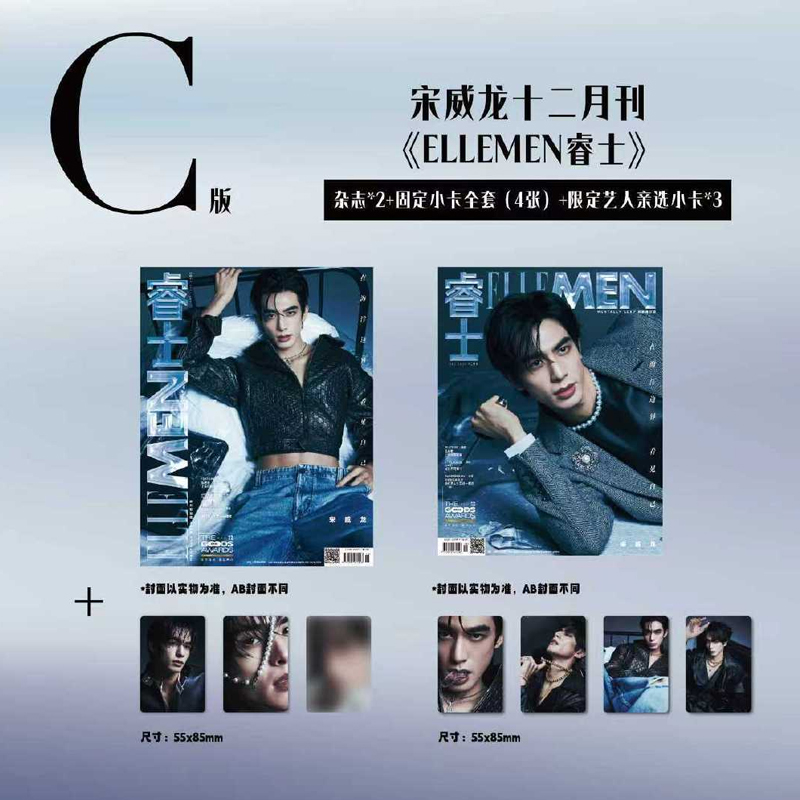 计入销量 睿士 12月刊 宋威龙封面C版：A+B杂志+固定小卡4张+艺人亲选小卡3张 ELLEMEN睿士杂志 2025年12/十二月刊 宋威龙封面