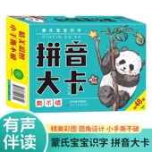 有声伴读 撕不烂幼儿园识字书幼儿认字幼升小拼音练习册幼小衔接小学学前书启蒙早教卡片小学生语文声母韵母 蒙氏宝宝识字拼音大卡