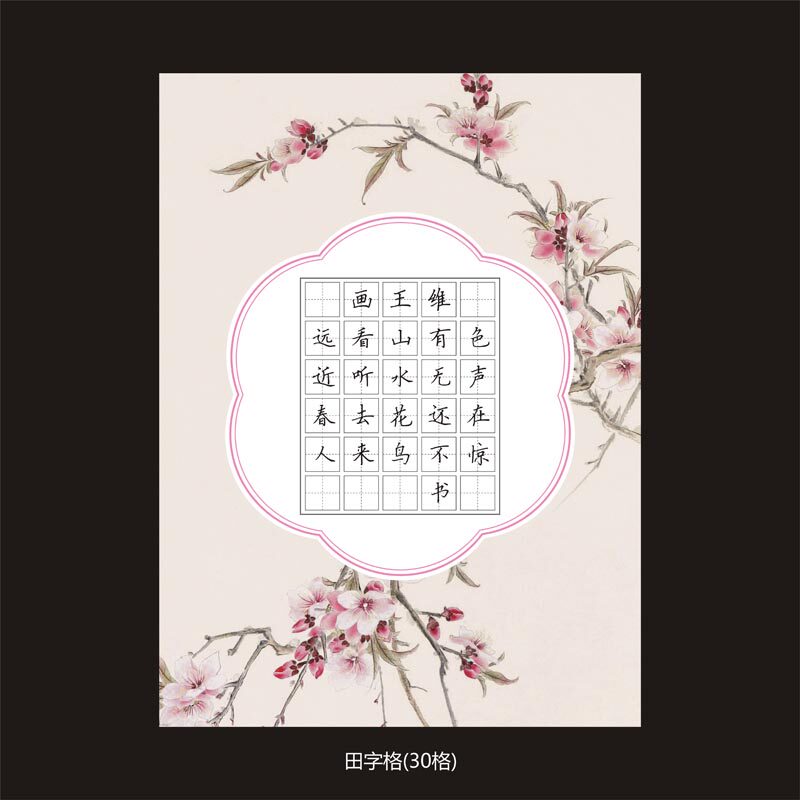 作品纸 创作纸  硬笔书法纸  a4纸大小 田字格  30格