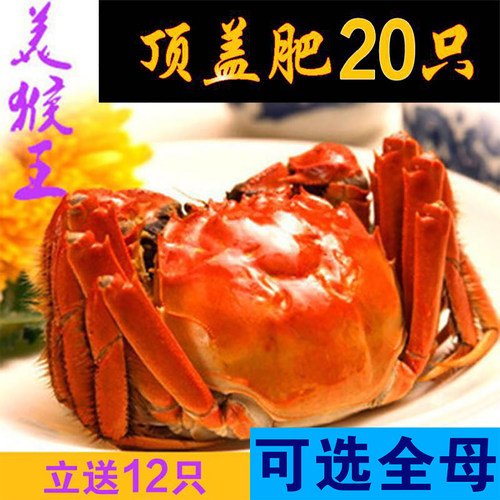 20只鲜活盘锦河蟹保肥满黄