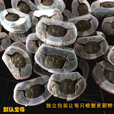 河蟹现在还是苦的，每年9月初开始大量发货