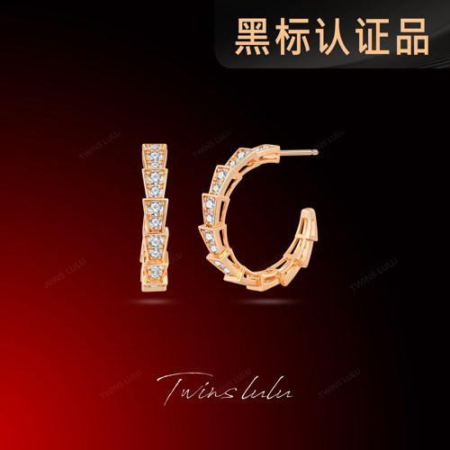 TWINSLULU百搭蛇形C形耳环
