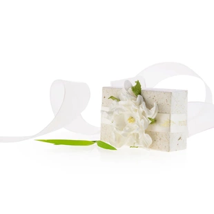 进口精油皂诺丽果椰子白姜花soap大块装 pure fiji斐济手工皂原装