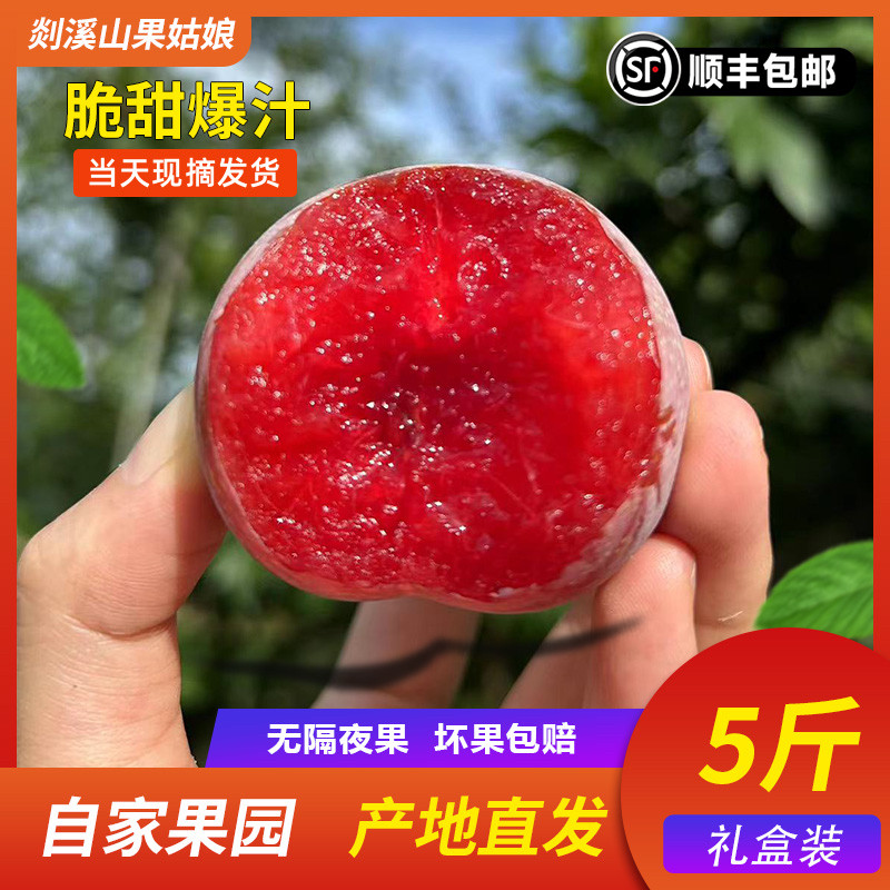 正宗嵊州桃形李子包邮树上熟孕妇可食用新鲜水果现摘现发五斤装