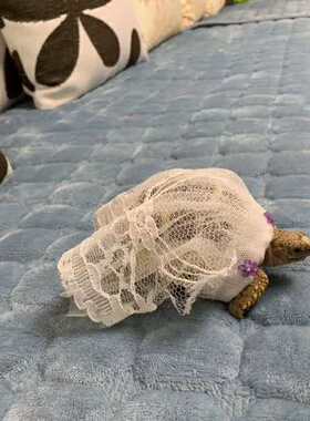 定制婚纱宠物衣服裙子小乌龟