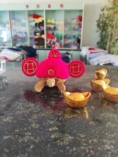 量身定制财神帽造型龟龟猫咪小型犬适用衣服宠物衣服小帽子发财