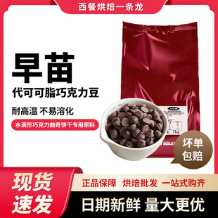 1kg装 马来西亚早苗丝博巧克力豆 耐高温烘焙巧克力豆可可豆