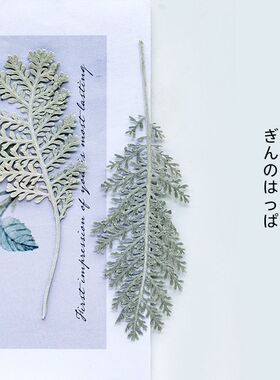 银羽干花压花贴脸装饰